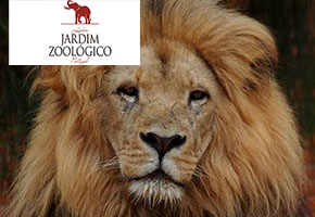 Jardim Zoológico