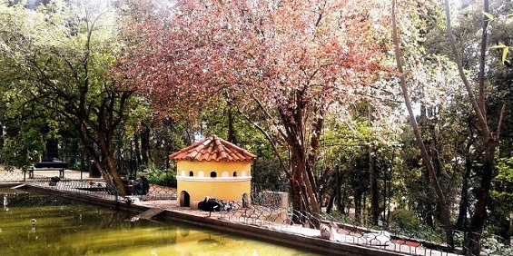 Parque Silva Porto