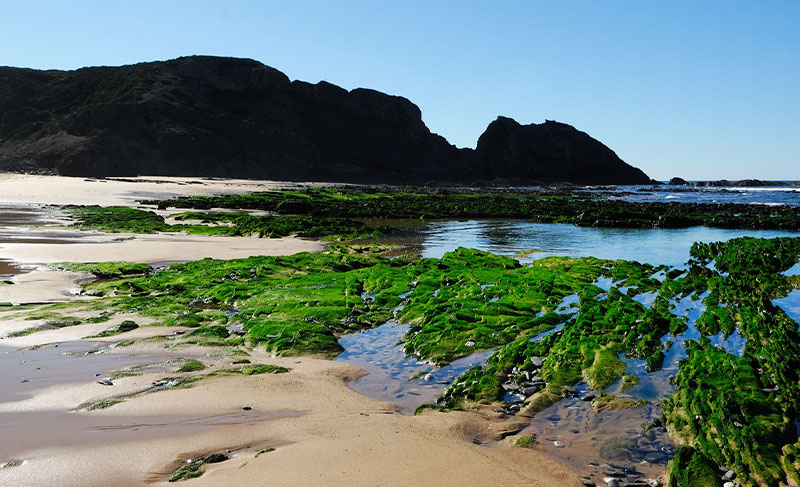 Praia de Vale dos Homens