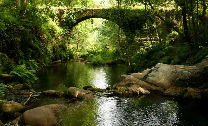 Natureza pura em Cabeceiras de Basto