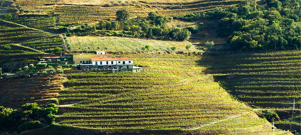 Vale do Douro em Miranda