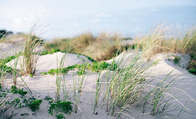 A beleza das praias de Peniche