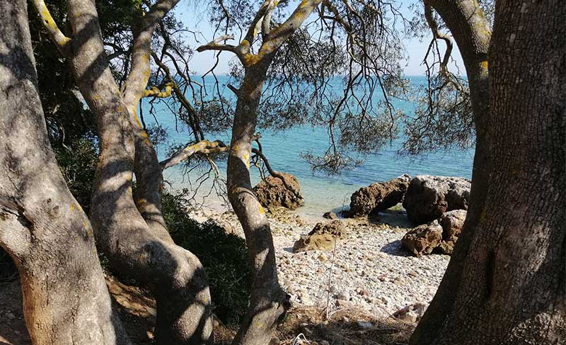 A forte presença da natureza na Arrabida