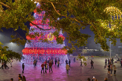 Natal Madeira