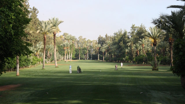 Quinta Peru