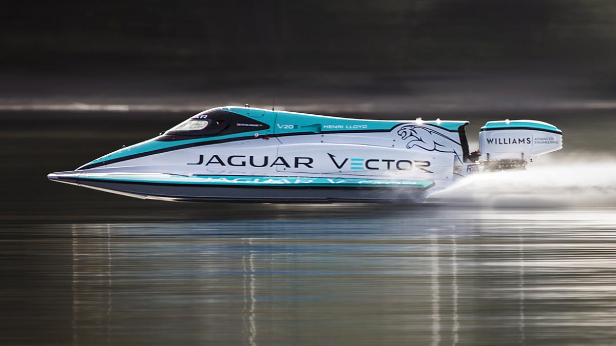 jaguar vector