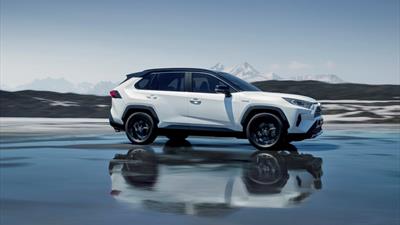 TOYOTA RAV4_2019