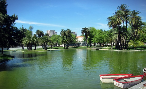 Jardim do Campo Grande