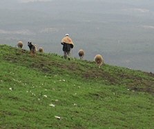 Serra de Montejunto