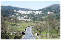 Carreiras