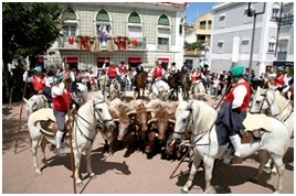 Colete Encarnado-Vila Franca de Xira