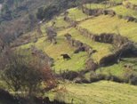 Mondim Basto - PN Alvão e a agricultura