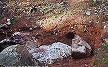 Paredes - Mamoa de Brandião - Aguiar de Sousa