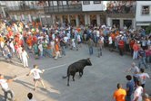 Pte de Lima -Festa Vaca das Cordas