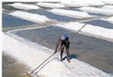 Tavira - as salinas e a produção de sal