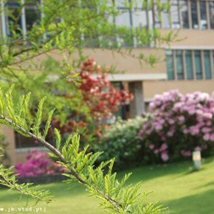 Vila Real - Jardim Botânico da Universidade -Folhadela