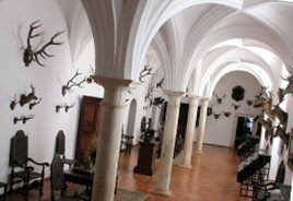 Vila Viçosa - Museu de Caça