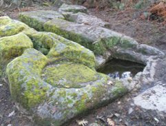 Viseu - Lagareta dos Mouros - Ribafeita