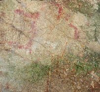 Viseu-Pinturas Policromadas - Côta