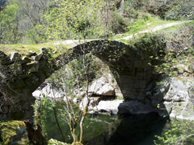 Viseu - Ponte Romana - Ribafeita