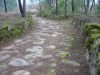 Viseu - Estrada Romana - Fragosela